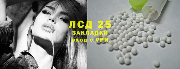гашик Белокуриха