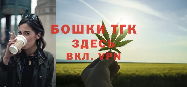 гашик Белоозёрский