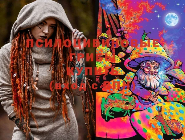 гашик Белокуриха