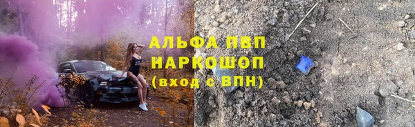 гашик Белокуриха