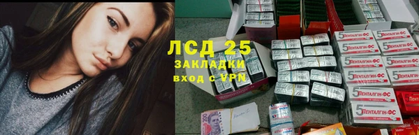 гашик Белокуриха